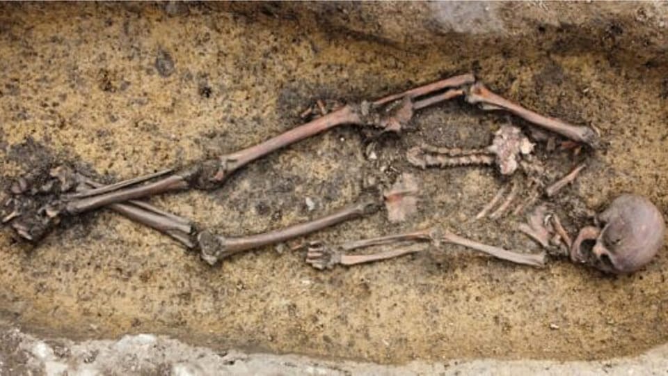 Viking skeleton